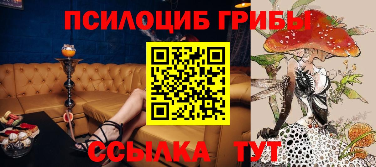 Чита  Псилоцибиновые грибы Cubensis  Вход с VPN 
